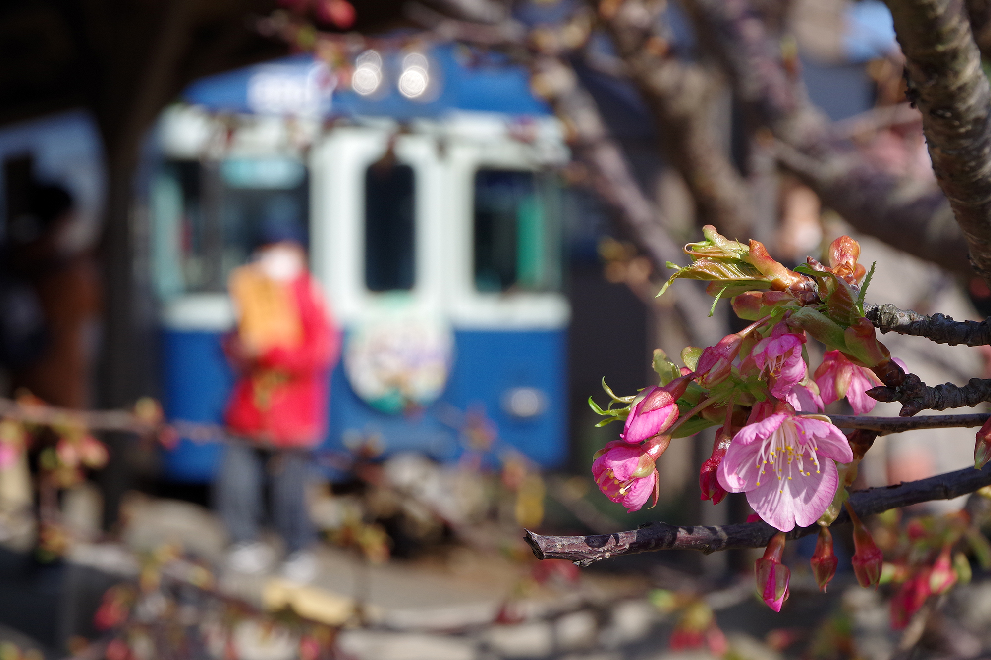 2023-02-18（土） 第84回銚子